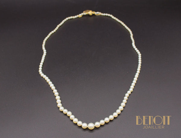 Collier Perles de Culture