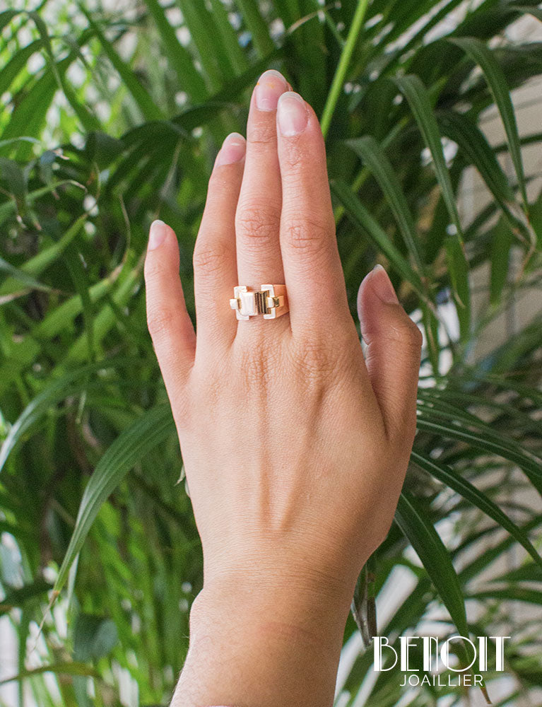 Bague Tank 2 Ors